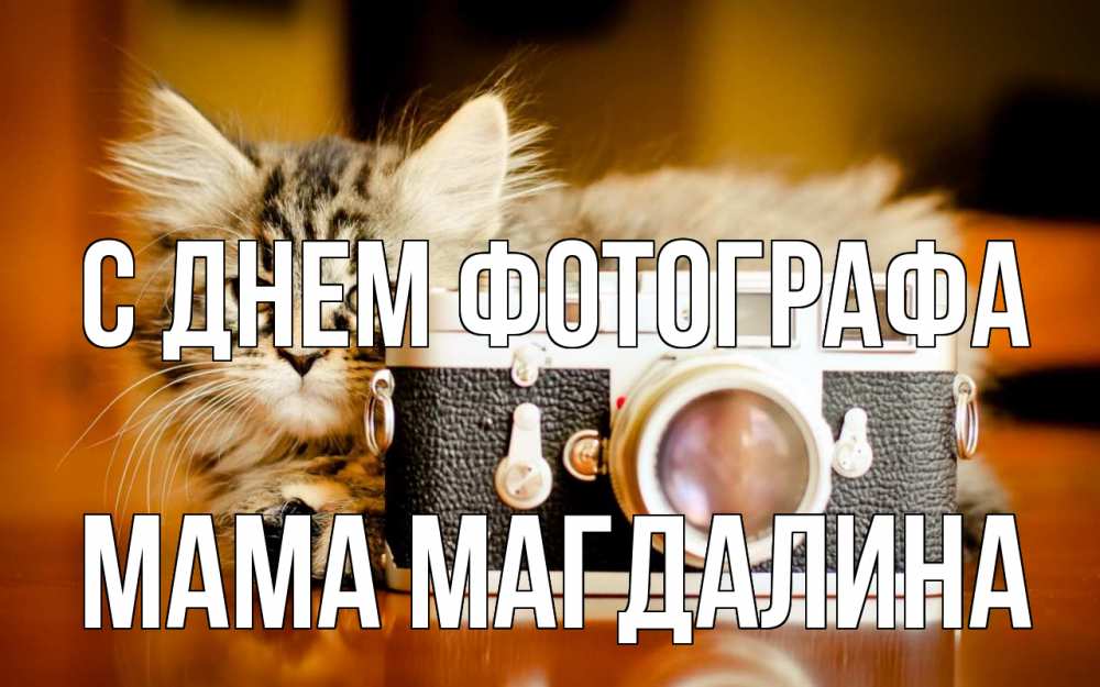 Открытка на каждый день с именем, Мама-Магдалина С днем фотографа с днем фотографа Прикольная открытка с пожеланием онлайн скачать бесплатно 
