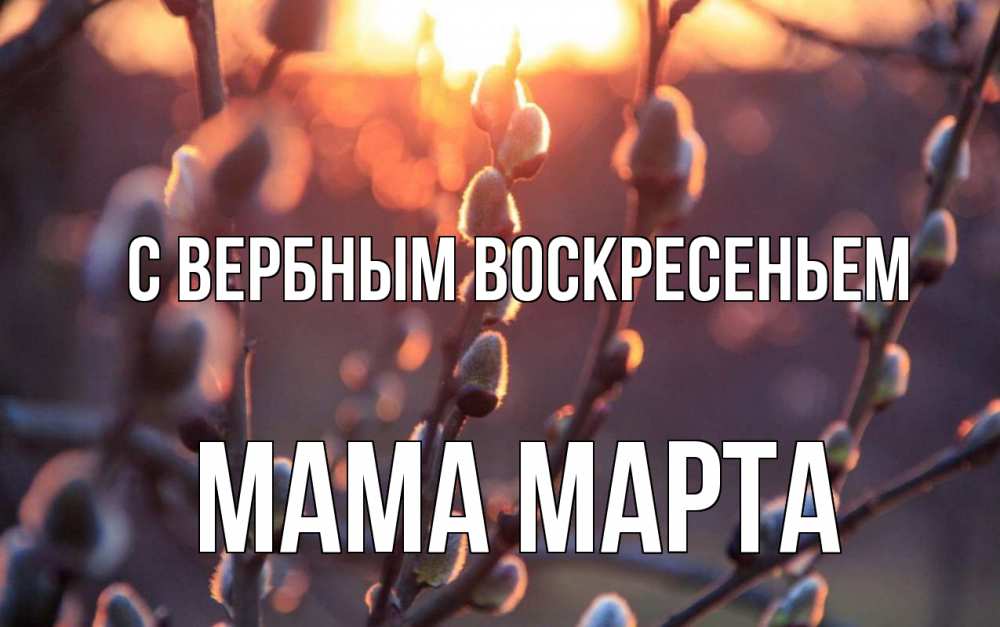 Открытка на каждый день с именем, Мама-Марта С вербным воскресеньем верба Прикольная открытка с пожеланием онлайн скачать бесплатно 