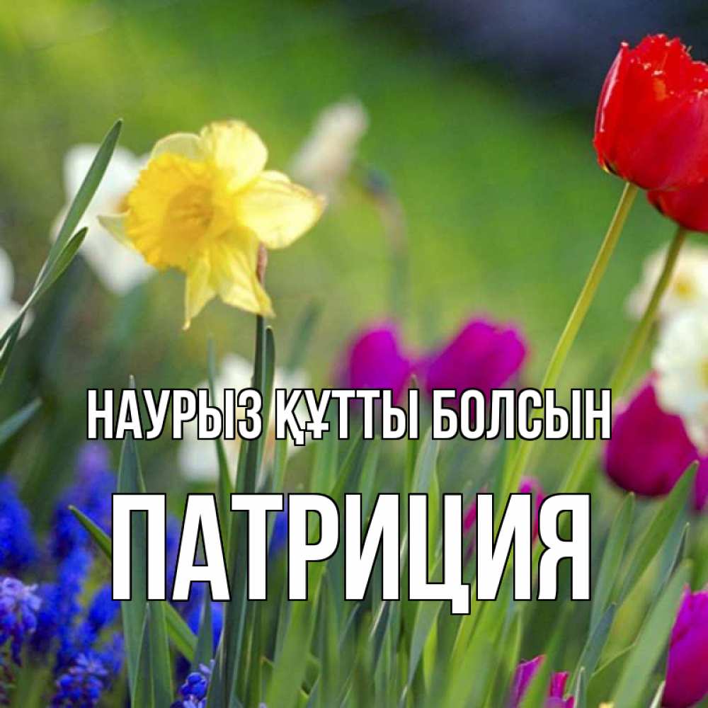 Открытка на каждый день с именем, Патриция Наурыз құтты болсын наурыз  3 открытки Прикольная открытка с пожеланием онлайн скачать бесплатно 