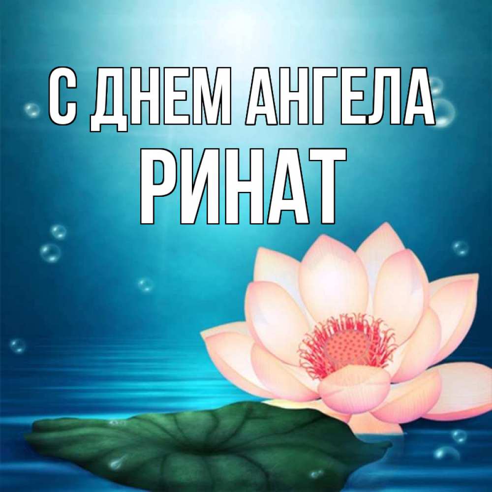 Открытка на каждый день с именем, Ринат С днем ангела кувшинка Прикольная открытка с пожеланием онлайн скачать бесплатно 