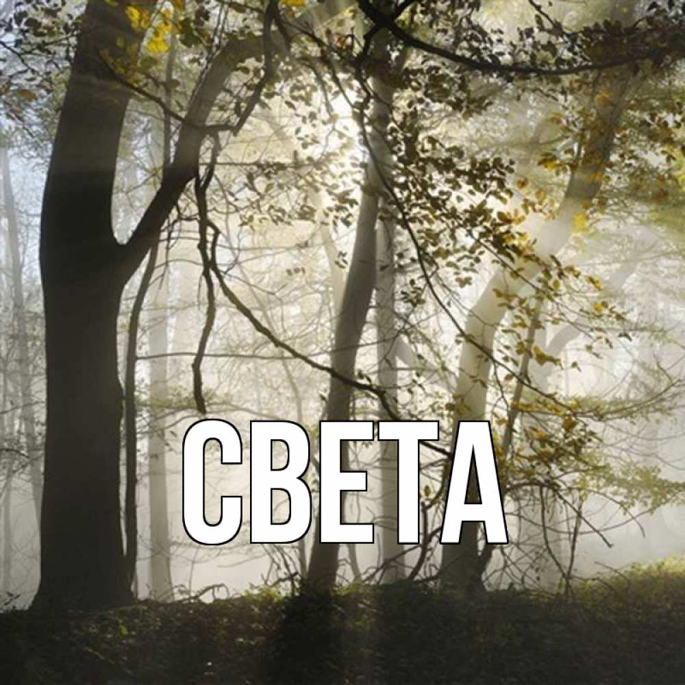Открытка на каждый день с именем, СВЕТА Главная грустно Прикольная открытка с пожеланием онлайн скачать бесплатно 