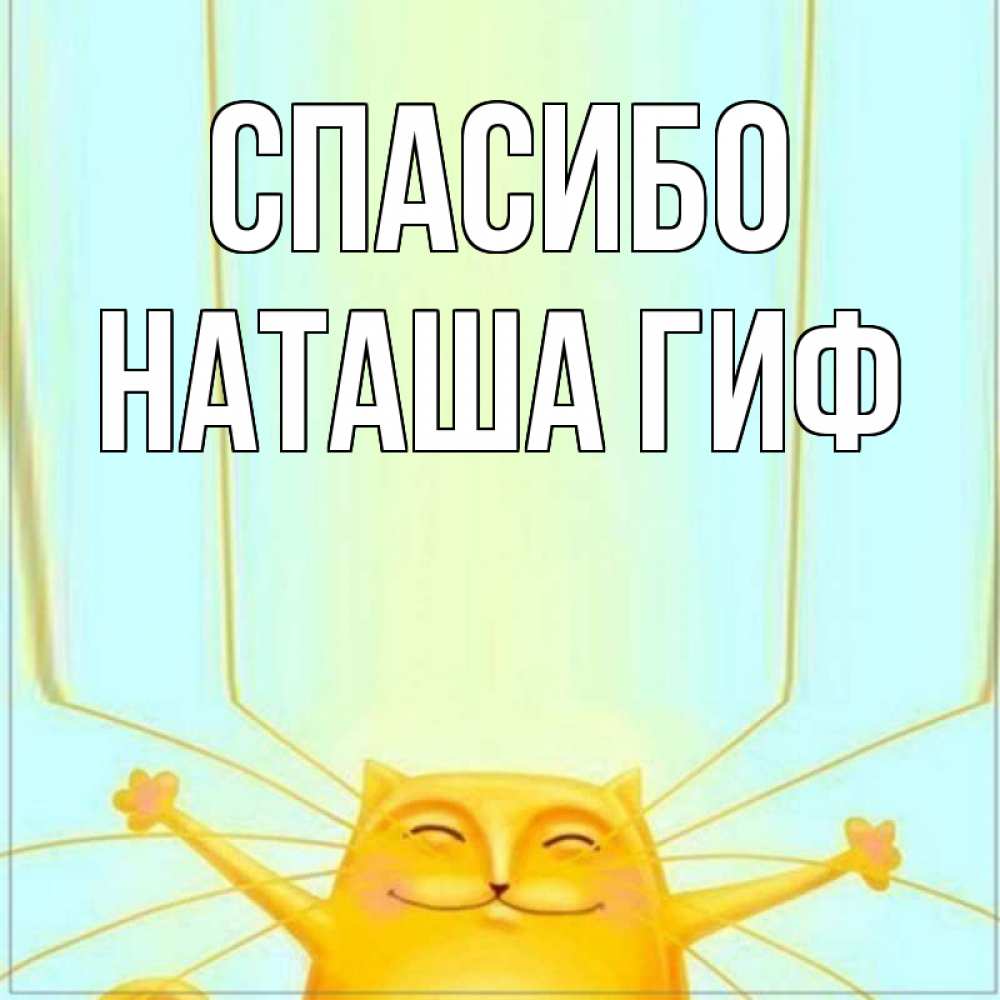 Открытка на каждый день с именем, СПАСИБО-НАТАША-ГИФ Спасибо кот с усами благодарит Прикольная открытка с пожеланием онлайн скачать бесплатно 