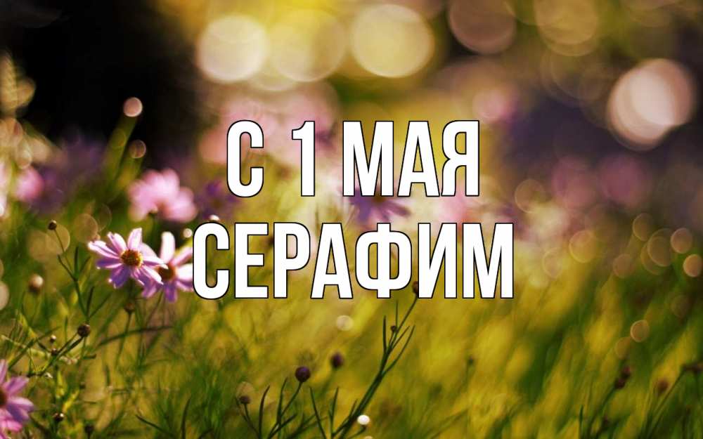 Открытка на каждый день с именем, Серафим С 1 мая С 1 мая Прикольная открытка с пожеланием онлайн скачать бесплатно 
