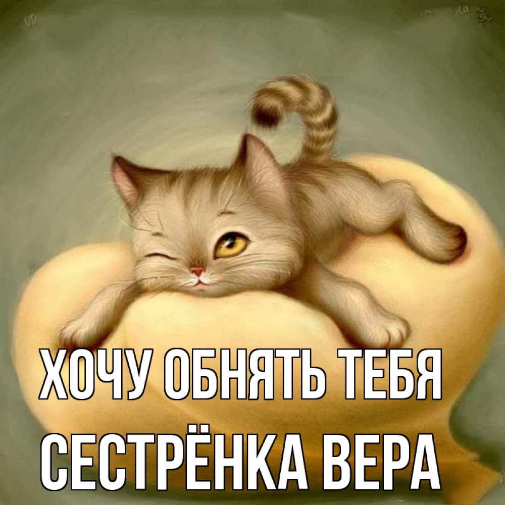 Открытка на каждый день с именем, Сестрёнка-Вера Хочу обнять тебя кошечка Прикольная открытка с пожеланием онлайн скачать бесплатно 