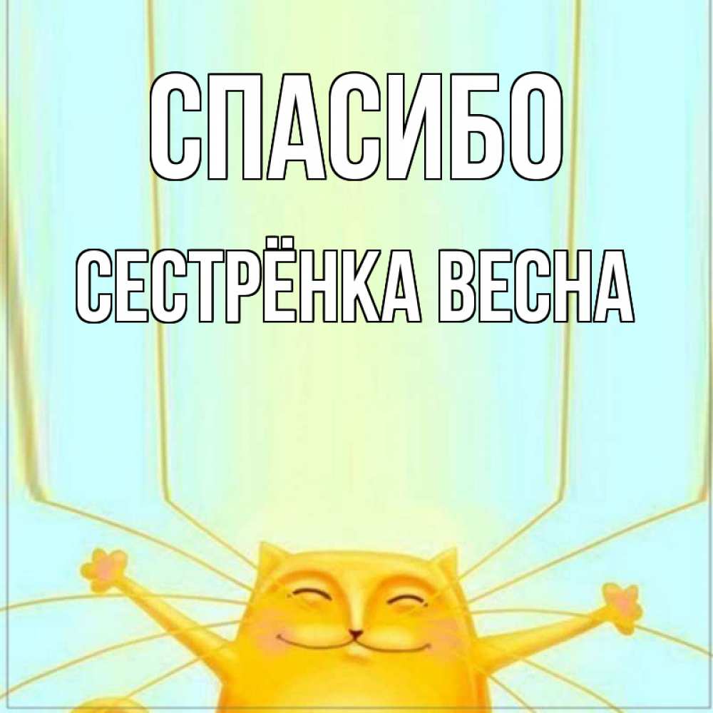 Открытка на каждый день с именем, Сестрёнка-Весна Спасибо кот с усами благодарит Прикольная открытка с пожеланием онлайн скачать бесплатно 