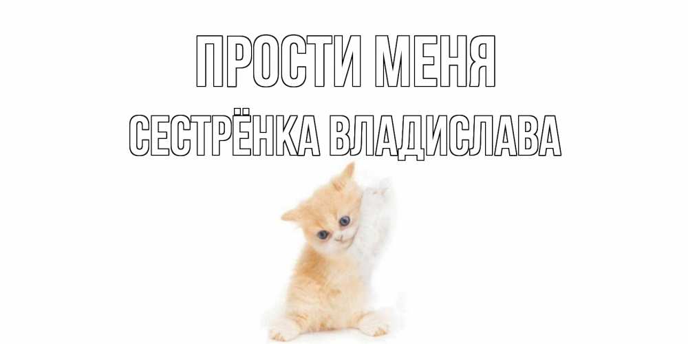 Открытка на каждый день с именем, Сестрёнка-Владислава Прости меня кот Прикольная открытка с пожеланием онлайн скачать бесплатно 