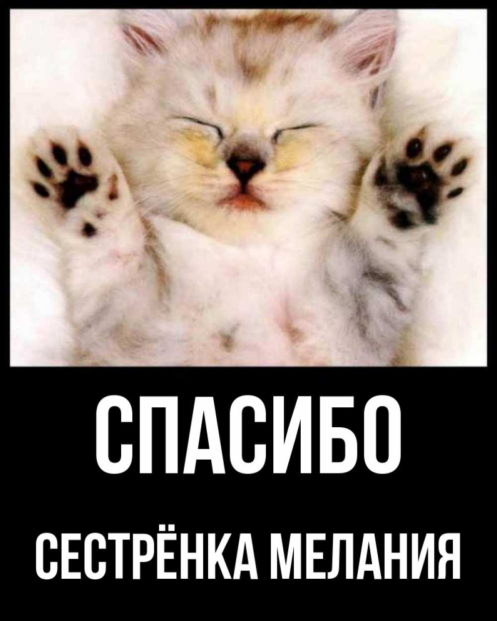 Открытка на каждый день с именем, Сестрёнка-Мелания Спасибо маленький котенок Прикольная открытка с пожеланием онлайн скачать бесплатно 