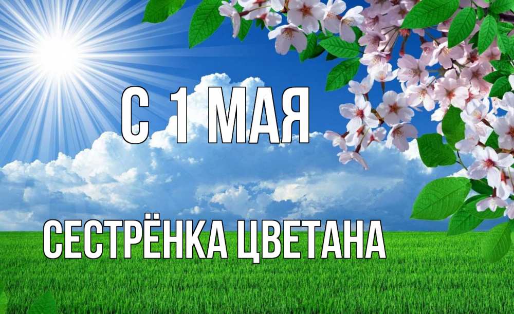 Открытка на каждый день с именем, Сестрёнка-Цветана С 1 мая С 1 мая Прикольная открытка с пожеланием онлайн скачать бесплатно 