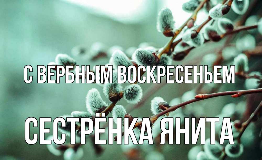 Открытка на каждый день с именем, Сестрёнка-Янита С вербным воскресеньем верба Прикольная открытка с пожеланием онлайн скачать бесплатно 