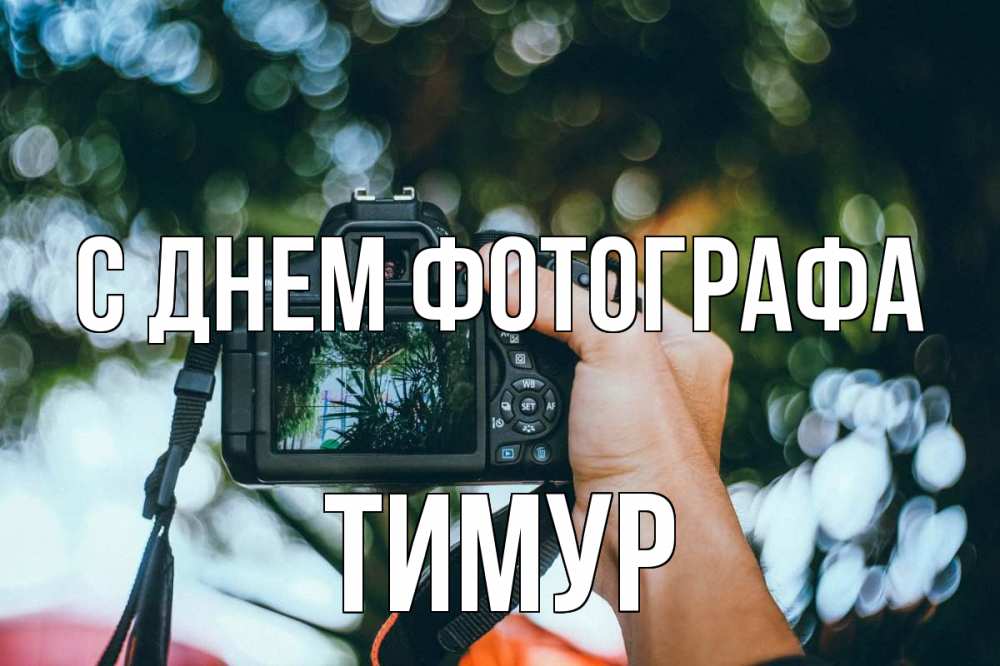Открытка на каждый день с именем, Тимур С днем фотографа с днем фотографа Прикольная открытка с пожеланием онлайн скачать бесплатно 