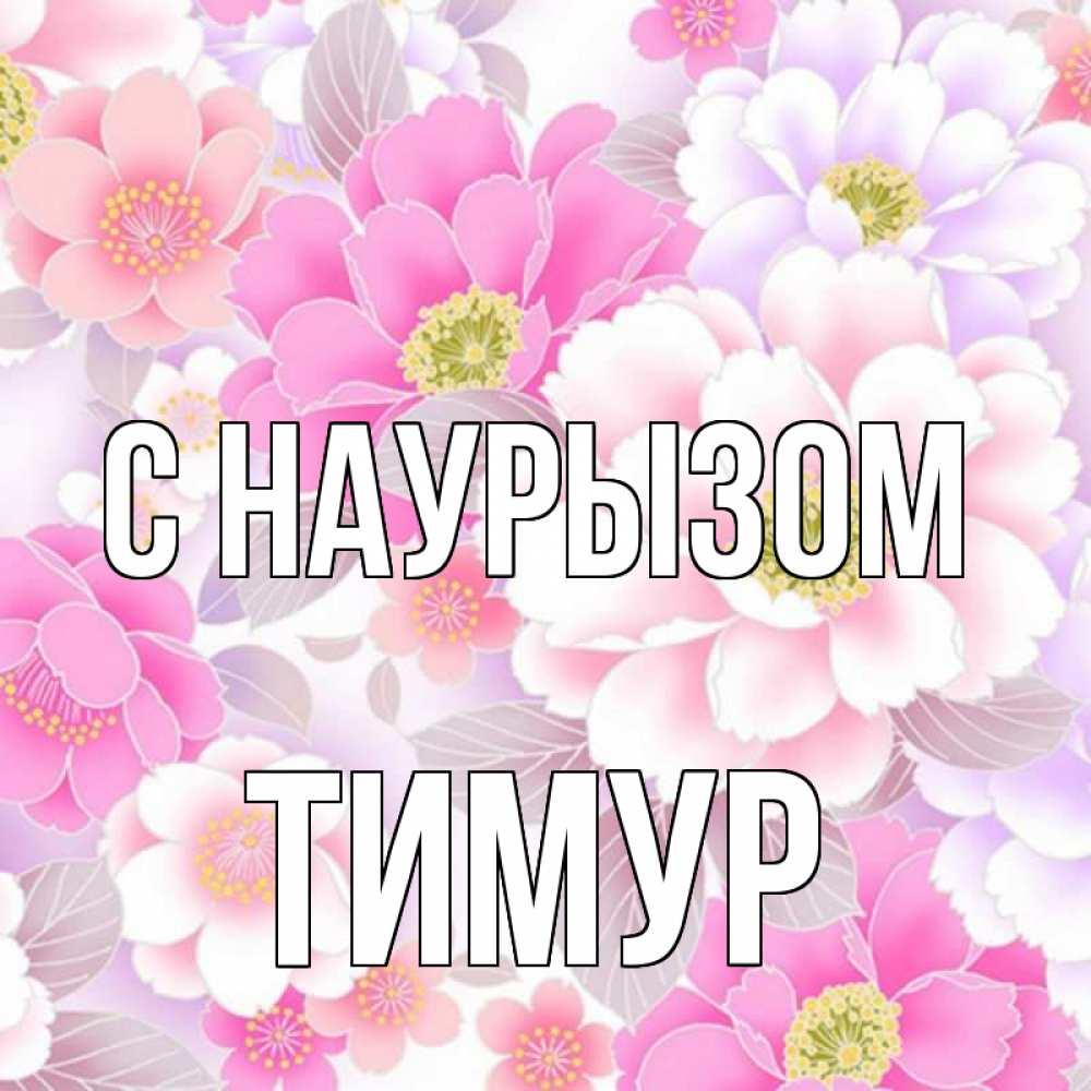 Открытка на каждый день с именем, Тимур С наурызом для женщин Прикольная открытка с пожеланием онлайн скачать бесплатно 