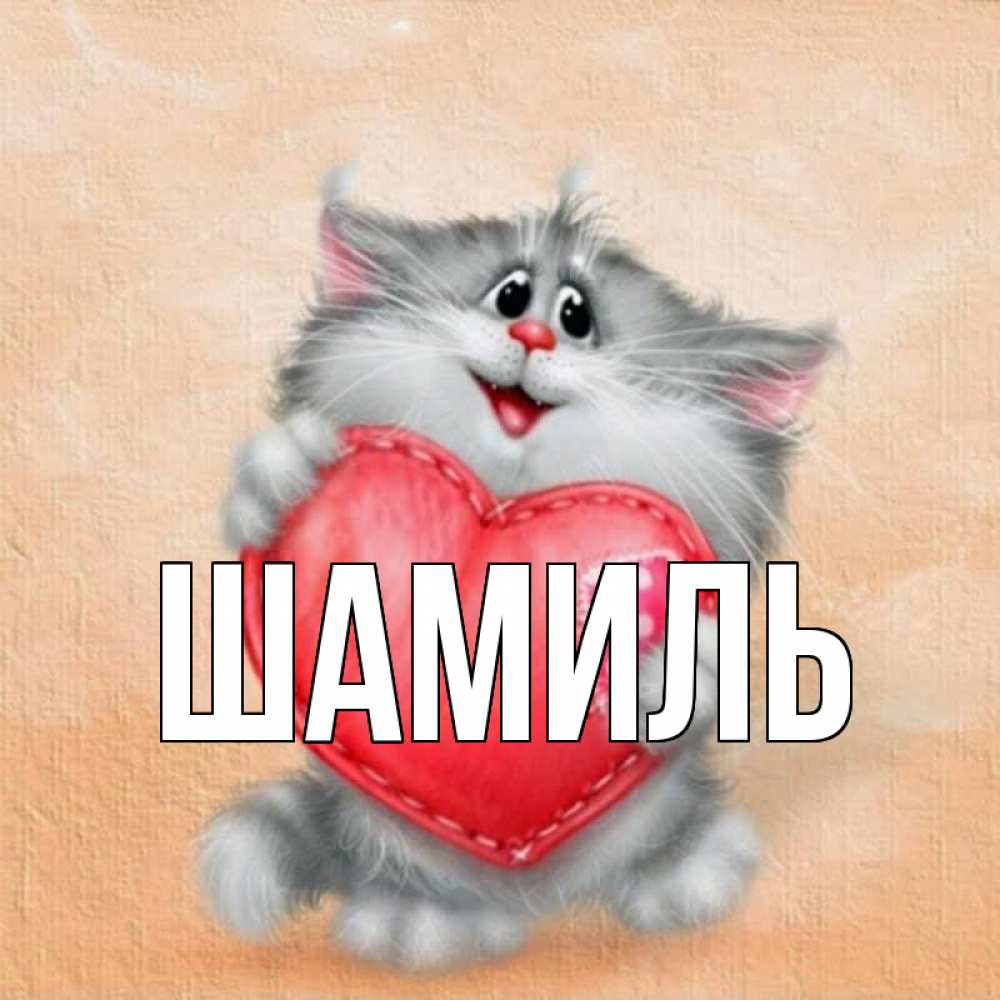 Открытка на каждый день с именем, Шамиль Главная сердце с заплаткой Прикольная открытка с пожеланием онлайн скачать бесплатно 