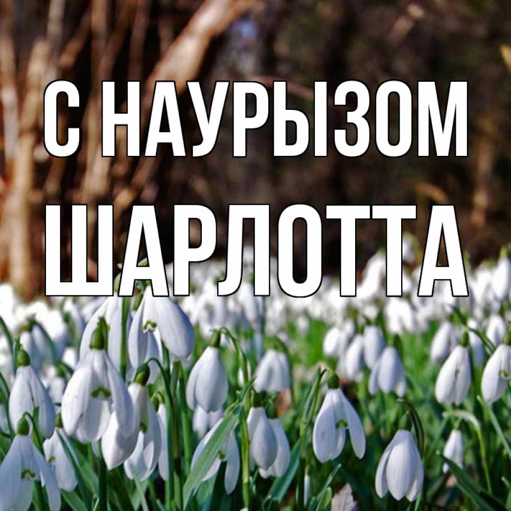 Открытка на каждый день с именем, Шарлотта С наурызом с подснежниками 1 Прикольная открытка с пожеланием онлайн скачать бесплатно 