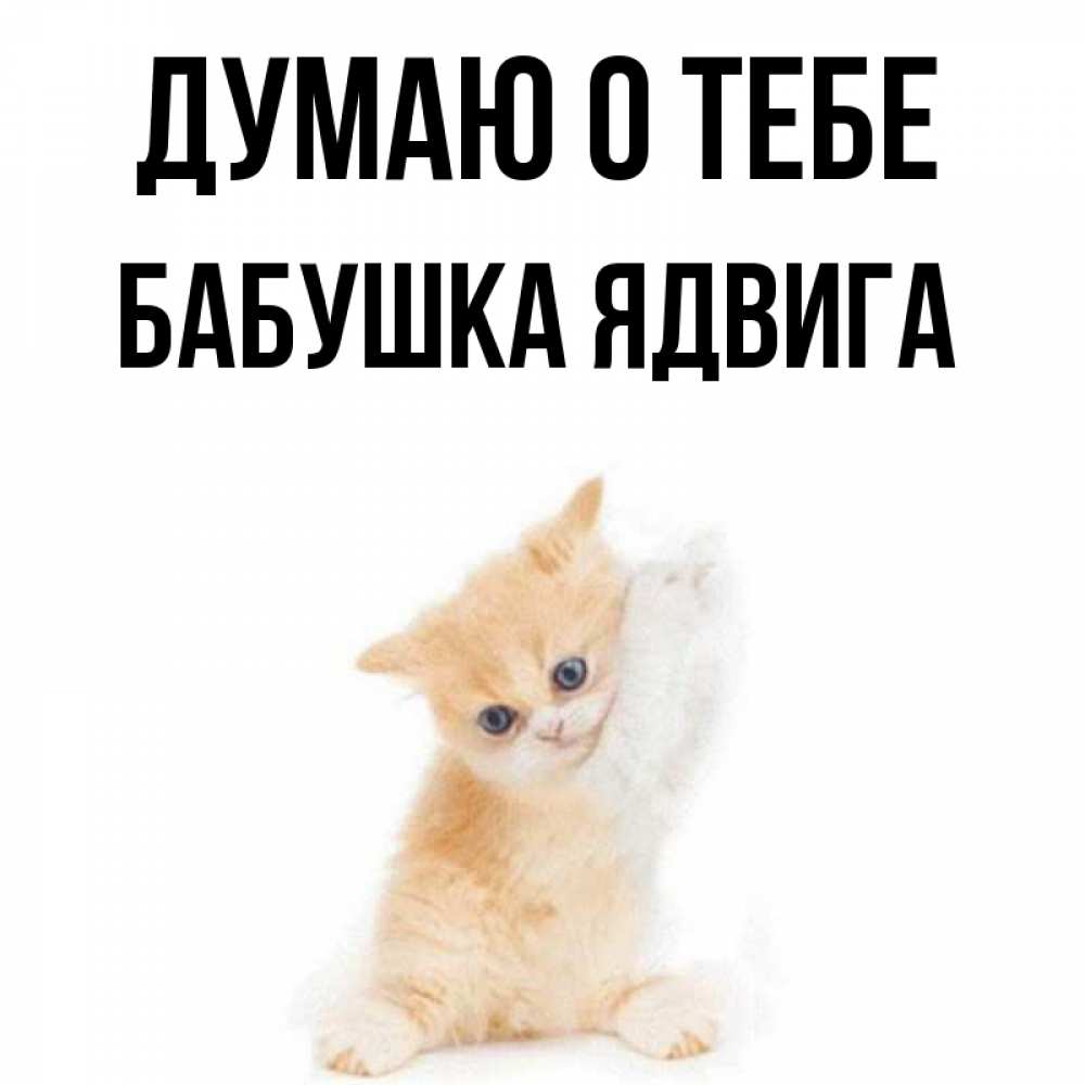 Открытка на каждый день с именем, Бабушка-Ядвига Думаю о тебе зверушки и милота Прикольная открытка с пожеланием онлайн скачать бесплатно 