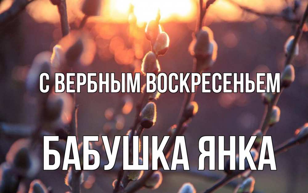 Открытка на каждый день с именем, Бабушка-Янка С вербным воскресеньем верба Прикольная открытка с пожеланием онлайн скачать бесплатно 