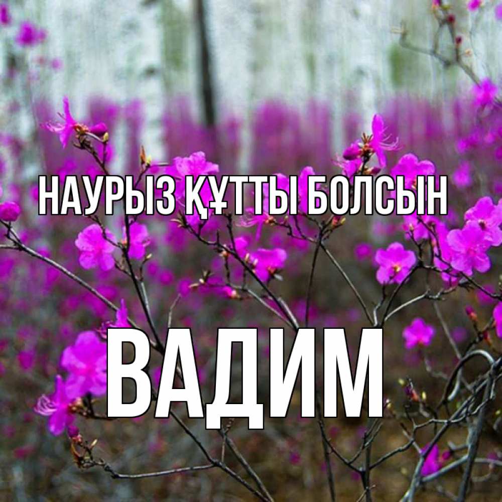 Открытка на каждый день с именем, Вадим Наурыз құтты болсын дикие цветы Прикольная открытка с пожеланием онлайн скачать бесплатно 
