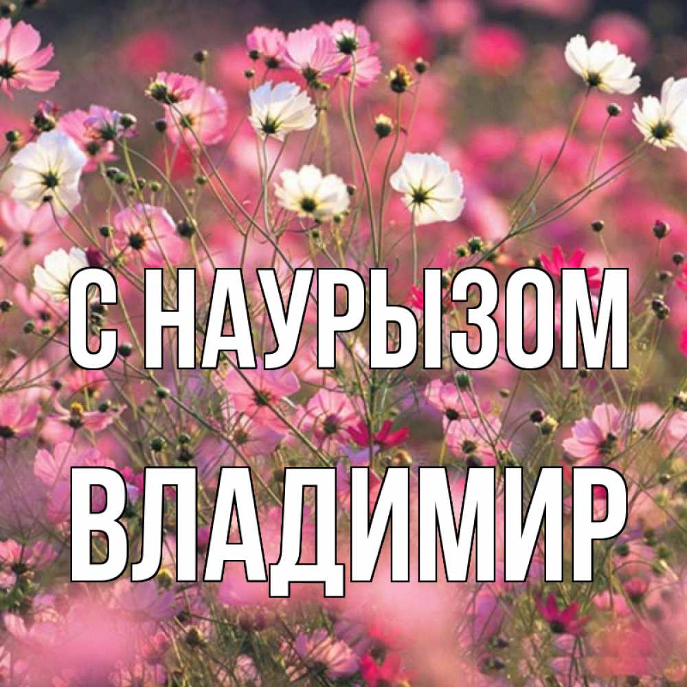 Открытка на каждый день с именем, Владимир С наурызом красиво 1 Прикольная открытка с пожеланием онлайн скачать бесплатно 