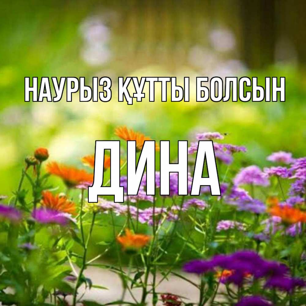 Открытка на каждый день с именем, Дина Наурыз құтты болсын цветы Прикольная открытка с пожеланием онлайн скачать бесплатно 
