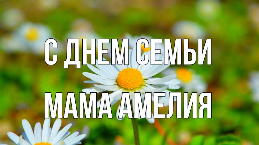Открытка на каждый день с именем, Мама-Амелия С днем семьи с днем семьи Прикольная открытка с пожеланием онлайн скачать бесплатно 