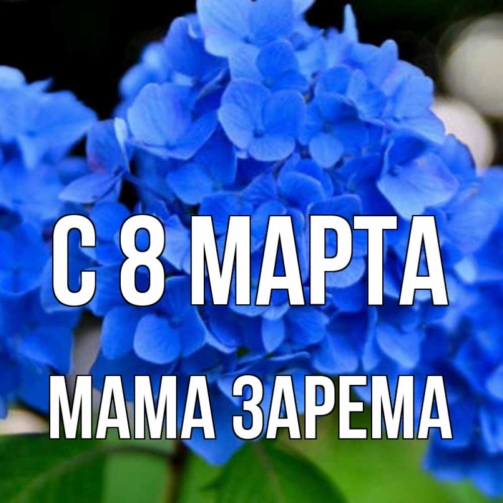 Открытка на каждый день с именем, Мама-Зарема С 8 МАРТА синие цветы Прикольная открытка с пожеланием онлайн скачать бесплатно 