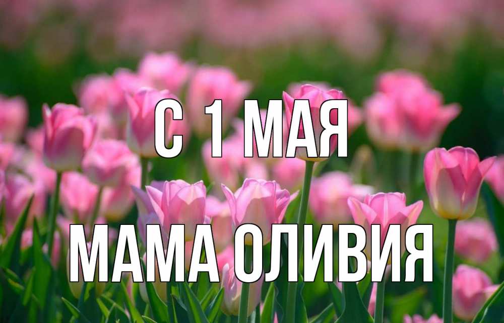 Открытка на каждый день с именем, Мама-Оливия С 1 мая С 1 мая Прикольная открытка с пожеланием онлайн скачать бесплатно 