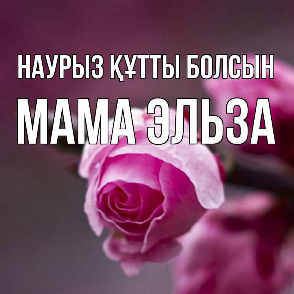 Открытка на каждый день с именем, Мама-Эльза Наурыз құтты болсын весна Прикольная открытка с пожеланием онлайн скачать бесплатно 