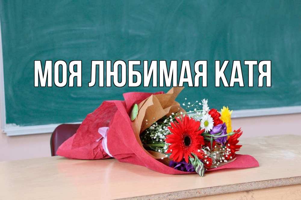 Открытка на каждый день с именем, Моя-любимая-Катя Главная школа с днем учителя Прикольная открытка с пожеланием онлайн скачать бесплатно 