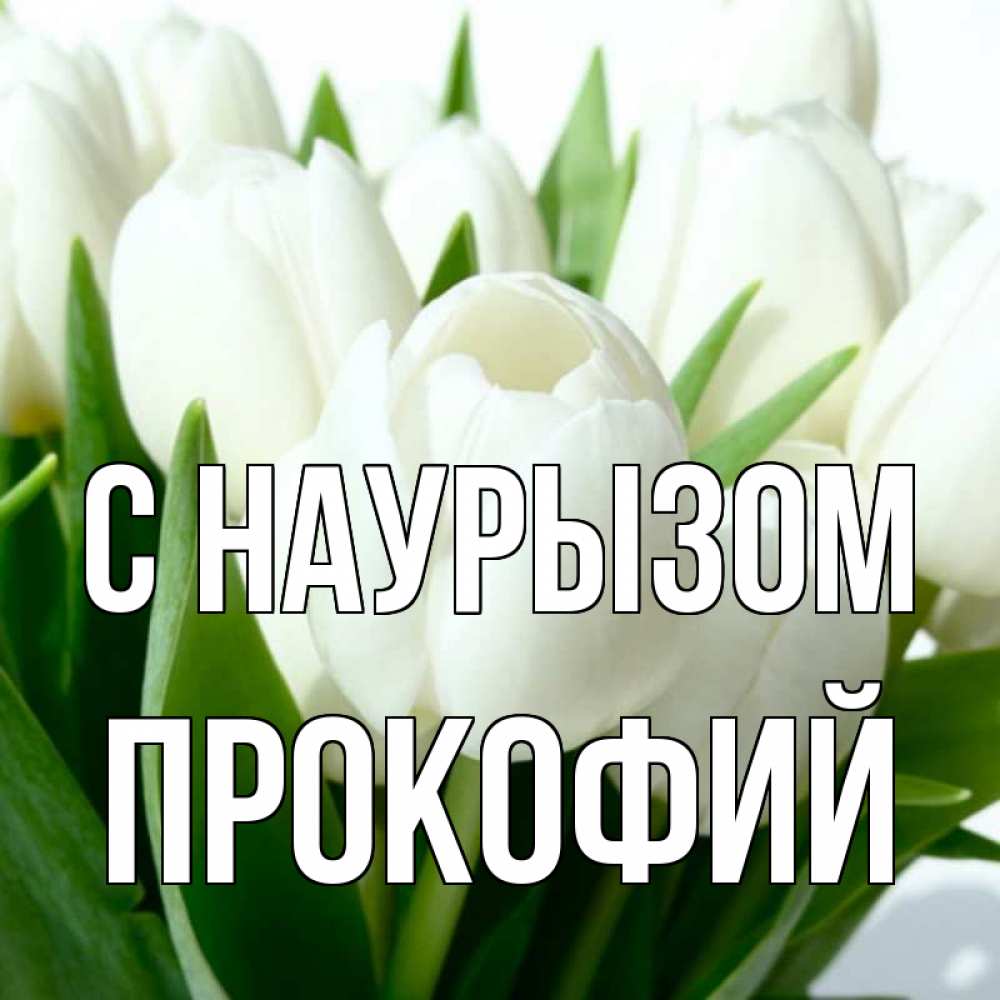 Открытка на каждый день с именем, Прокофий С наурызом цветы Прикольная открытка с пожеланием онлайн скачать бесплатно 