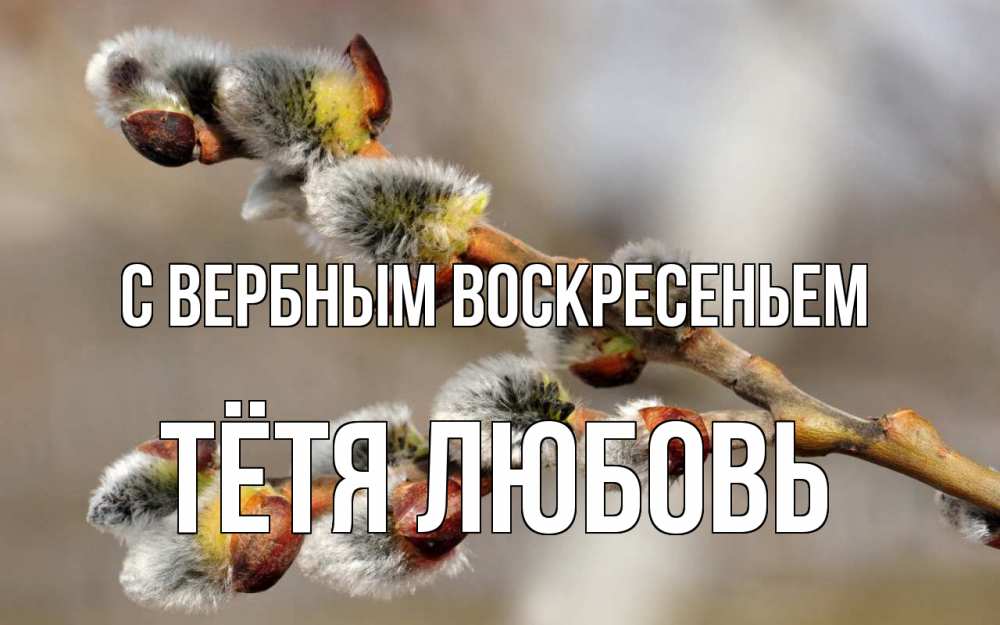 Открытка на каждый день с именем, Тётя-Любовь С вербным воскресеньем Верба Прикольная открытка с пожеланием онлайн скачать бесплатно 