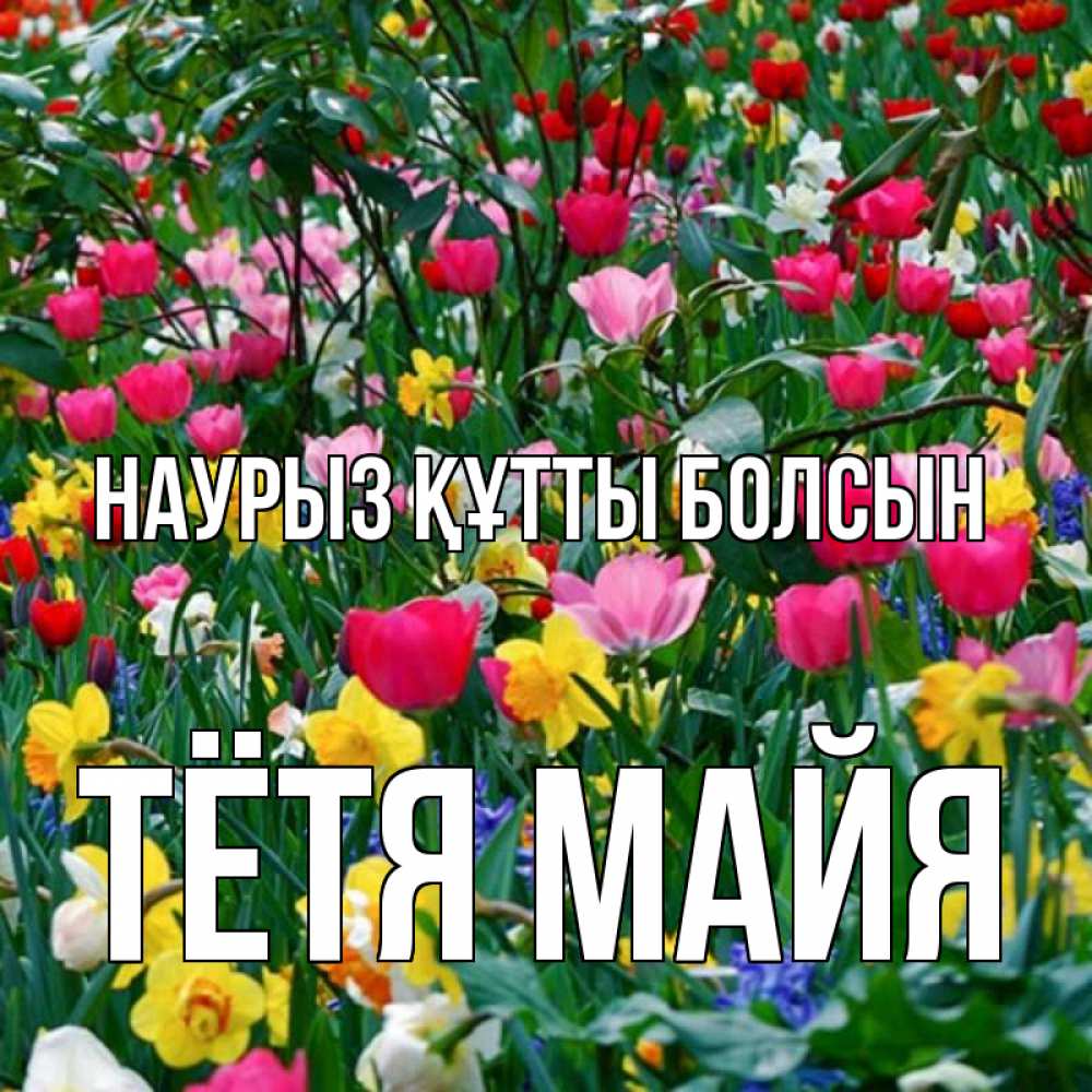 Открытка на каждый день с именем, Тётя-Майя Наурыз құтты болсын с наурызом поздравления для женщины Прикольная открытка с пожеланием онлайн скачать бесплатно 