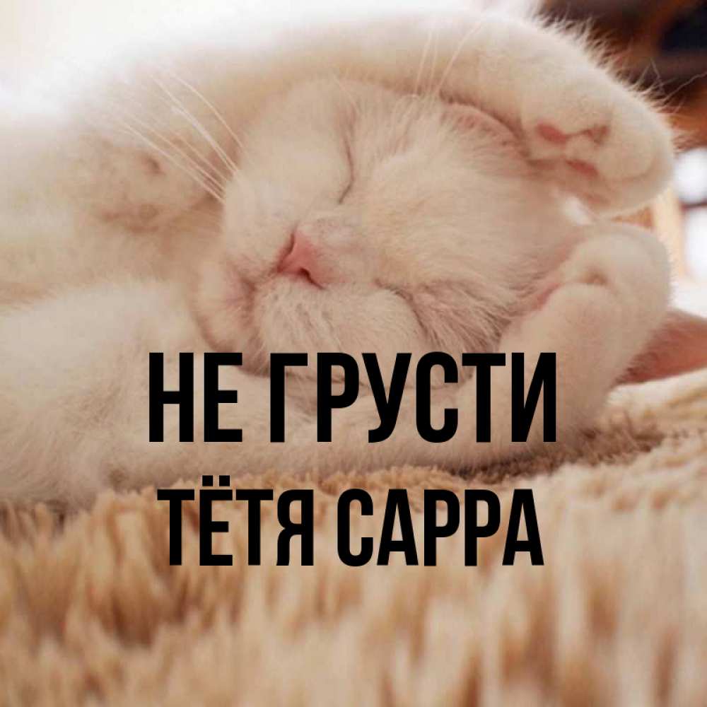Открытка на каждый день с именем, Тётя-Сарра Не грусти Котенок спит Прикольная открытка с пожеланием онлайн скачать бесплатно 