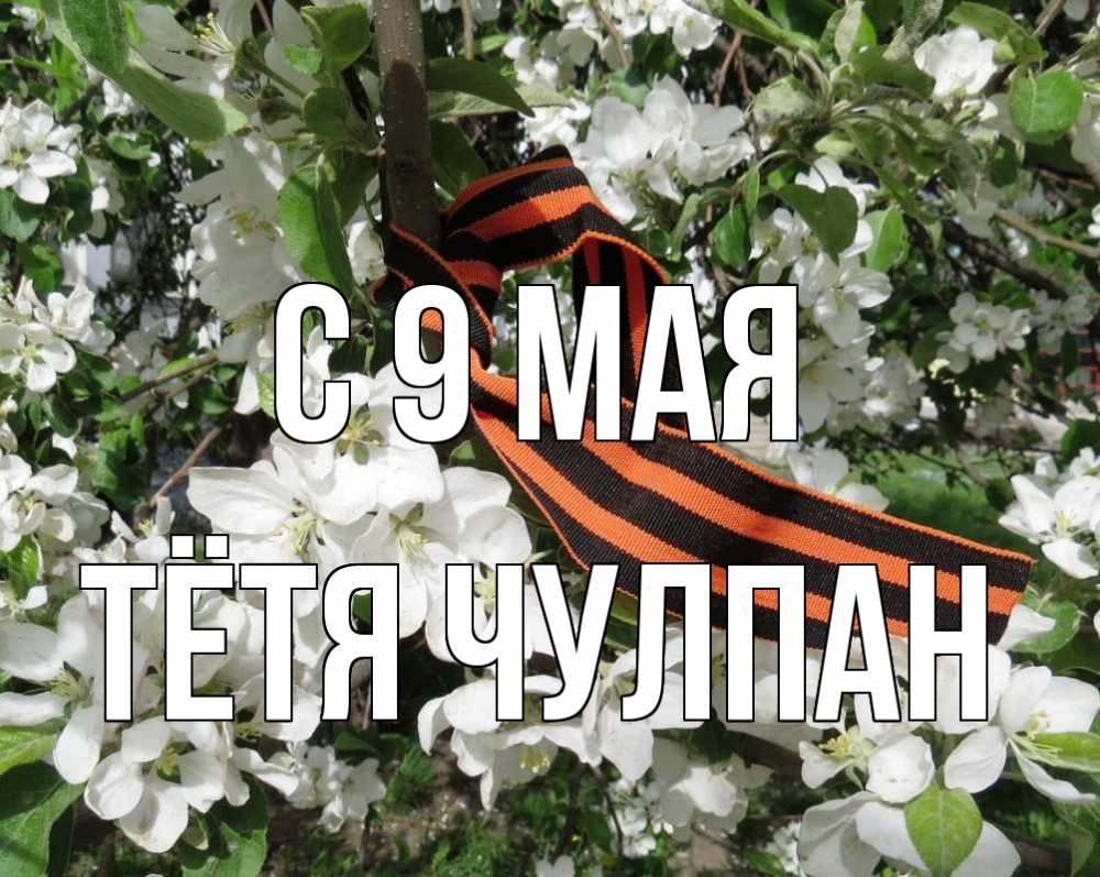 Открытка на каждый день с именем, Тётя-Чулпан С 9 мая 9 мая Прикольная открытка с пожеланием онлайн скачать бесплатно 
