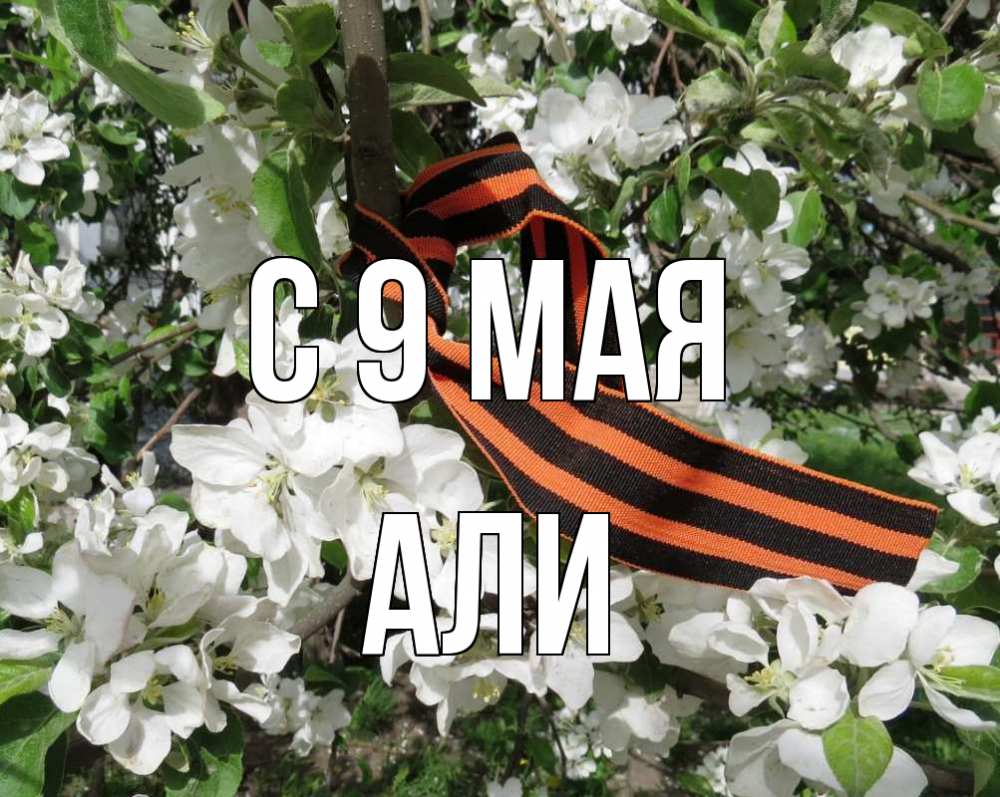 Открытка на каждый день с именем, Али С 9 мая 9 мая Прикольная открытка с пожеланием онлайн скачать бесплатно 