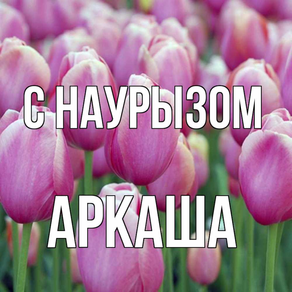 Открытка на каждый день с именем, Аркаша С наурызом праздник весны наурыз 69 Прикольная открытка с пожеланием онлайн скачать бесплатно 