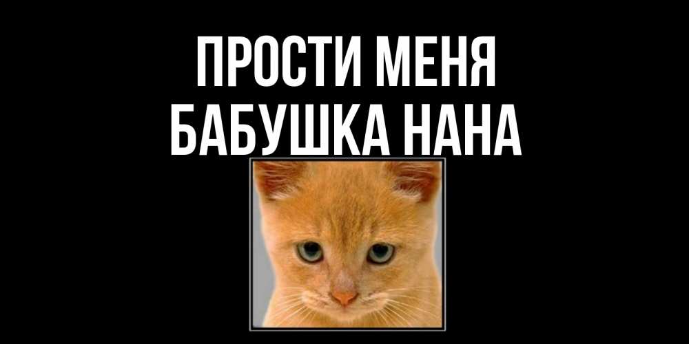 Открытка на каждый день с именем, Бабушка-Нана Прости меня рыжий грустный кот просит прощения Прикольная открытка с пожеланием онлайн скачать бесплатно 
