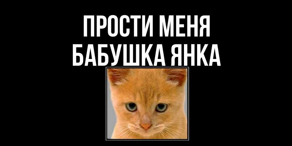 Открытка на каждый день с именем, Бабушка-Янка Прости меня рыжий грустный кот просит прощения Прикольная открытка с пожеланием онлайн скачать бесплатно 