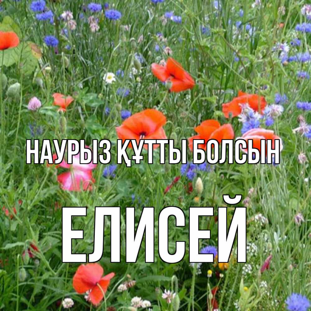 Открытка на каждый день с именем, Елисей Наурыз құтты болсын наурыз  4 Прикольная открытка с пожеланием онлайн скачать бесплатно 