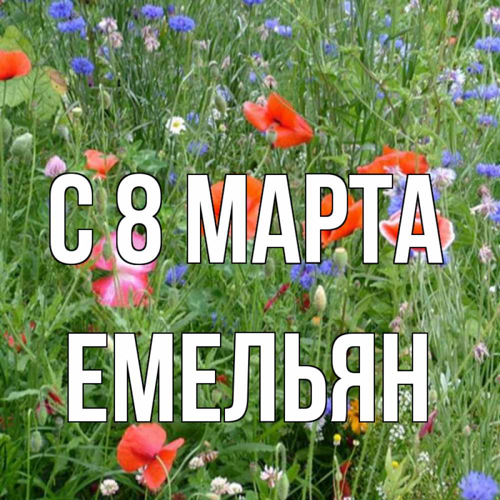 Открытка на каждый день с именем, Емельян С 8 марта международный женский день 4 Прикольная открытка с пожеланием онлайн скачать бесплатно 