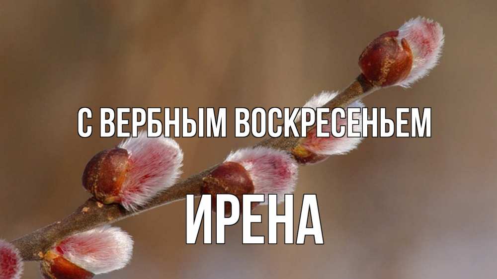 Открытка на каждый день с именем, Ирена С вербным воскресеньем верба Прикольная открытка с пожеланием онлайн скачать бесплатно 