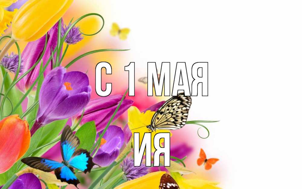 Открытка на каждый день с именем, Ия С 1 мая С 1 мая Прикольная открытка с пожеланием онлайн скачать бесплатно 