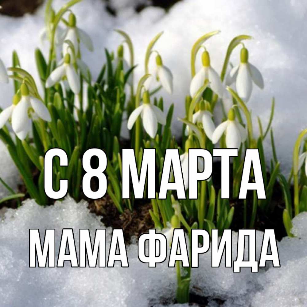 Открытка на каждый день с именем, Мама-Фарида С 8 МАРТА цветы весенние Прикольная открытка с пожеланием онлайн скачать бесплатно 
