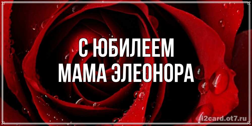 Открытка на каждый день с именем, Мама-Элеонора С юбилеем крупная бордовая роза Прикольная открытка с пожеланием онлайн скачать бесплатно 