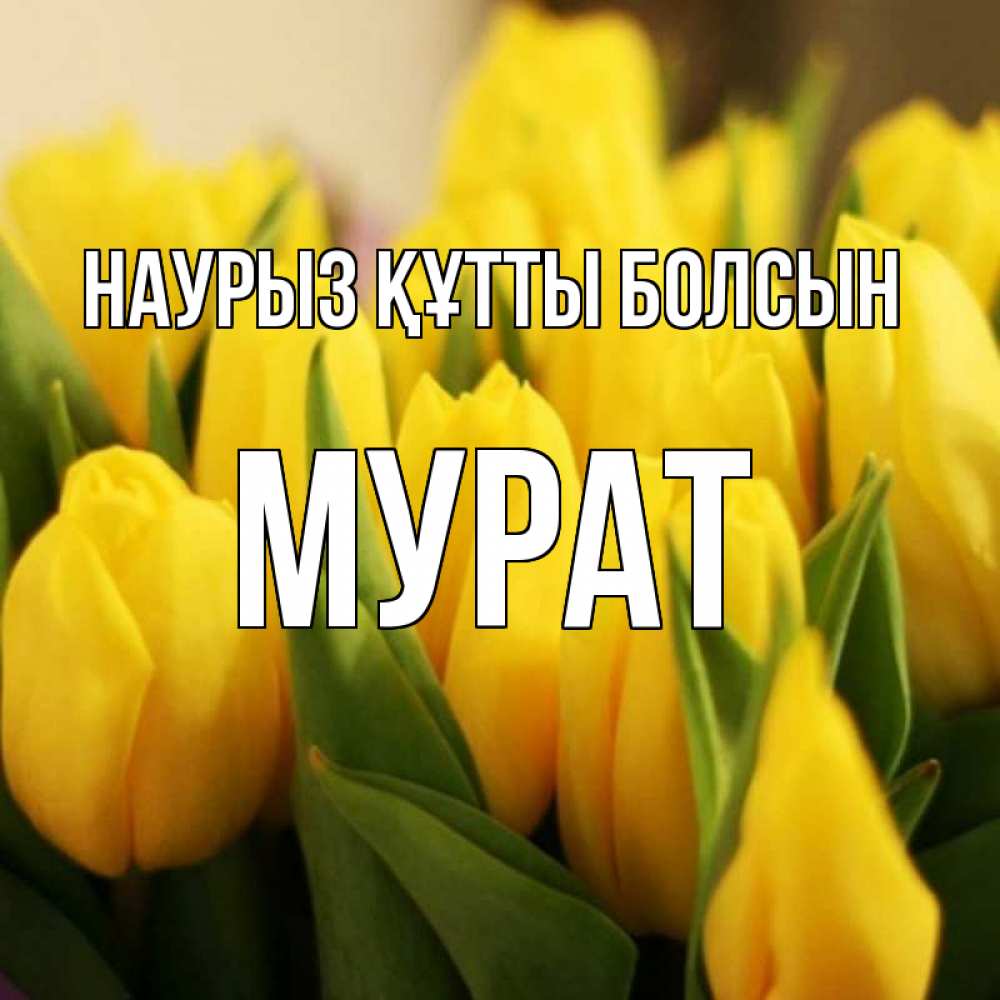 Открытка на каждый день с именем, Мурат Наурыз құтты болсын цветы Прикольная открытка с пожеланием онлайн скачать бесплатно 