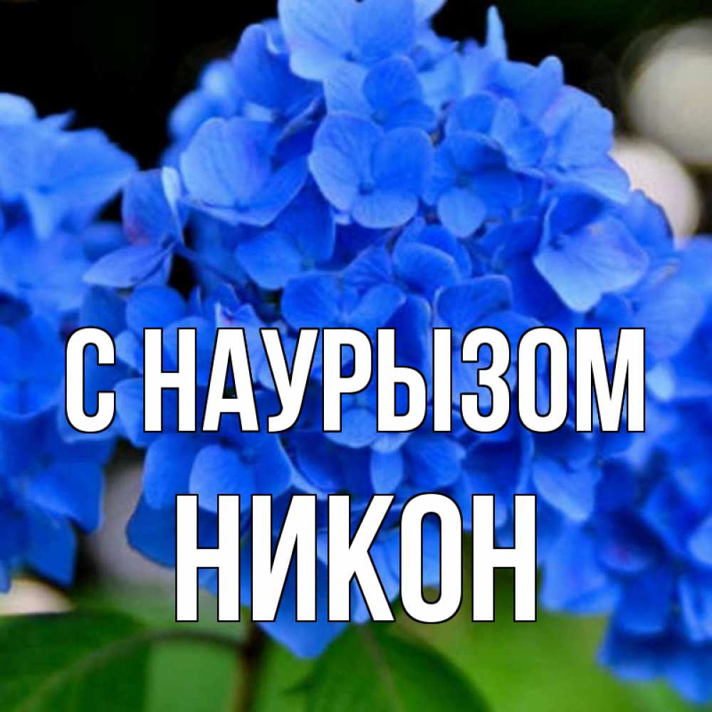 Открытка на каждый день с именем, Никон С наурызом синие цветы Прикольная открытка с пожеланием онлайн скачать бесплатно 
