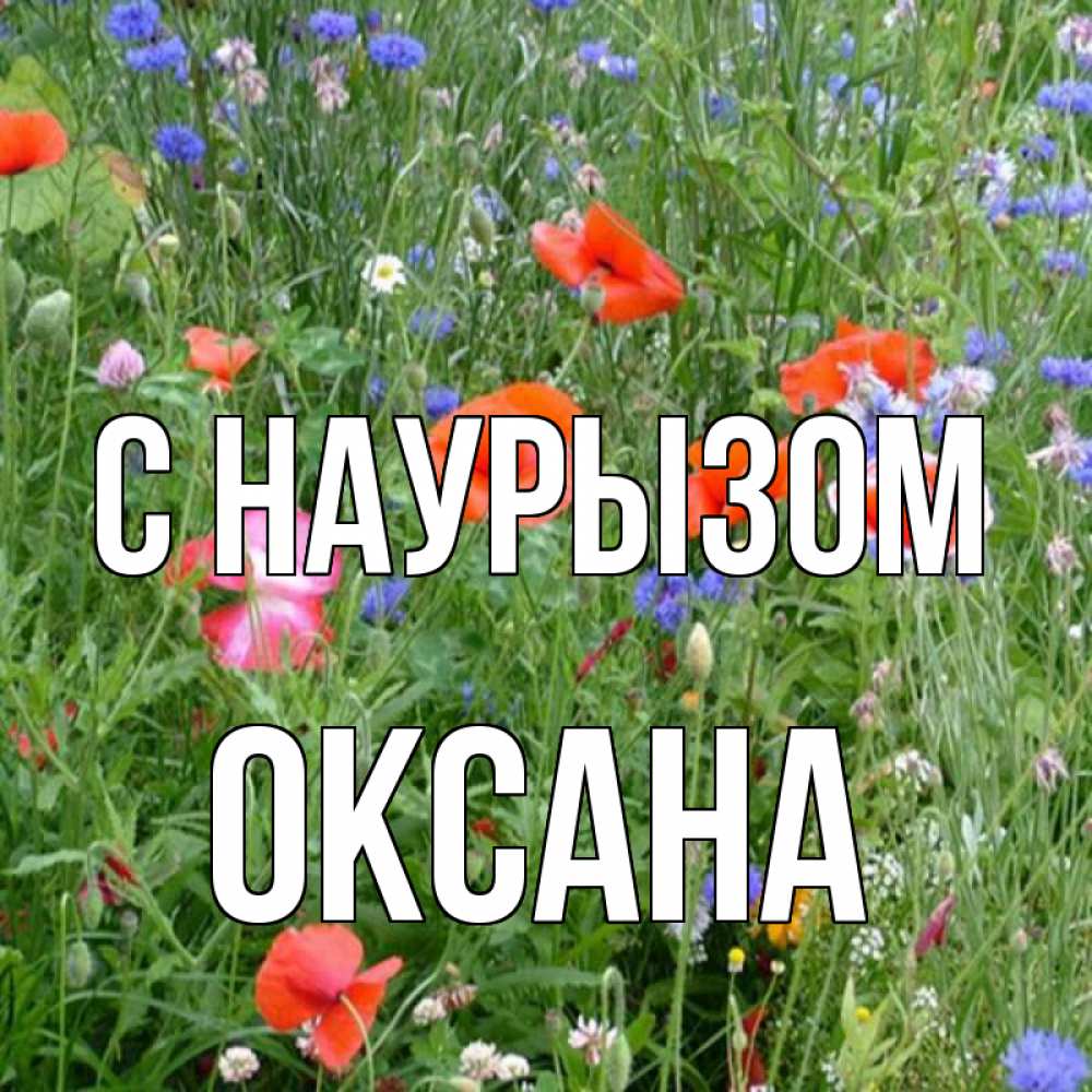 Открытка на каждый день с именем, Оксана С наурызом праздник весны наурыз супер открытка Прикольная открытка с пожеланием онлайн скачать бесплатно 