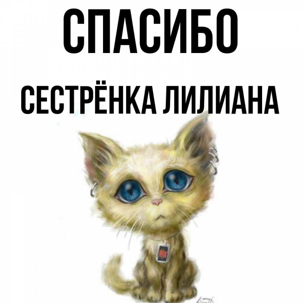 Открытка на каждый день с именем, Сестрёнка-Лилиана Спасибо рисованный кот благодарит вас Прикольная открытка с пожеланием онлайн скачать бесплатно 