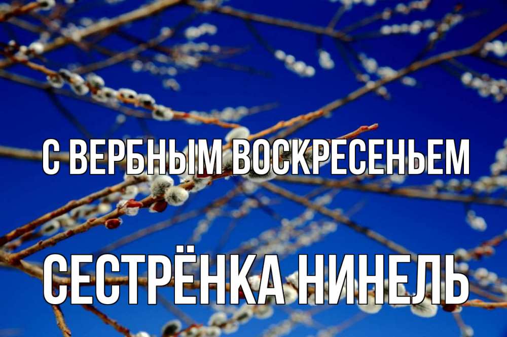 Открытка на каждый день с именем, Сестрёнка-Нинель С вербным воскресеньем верба Прикольная открытка с пожеланием онлайн скачать бесплатно 
