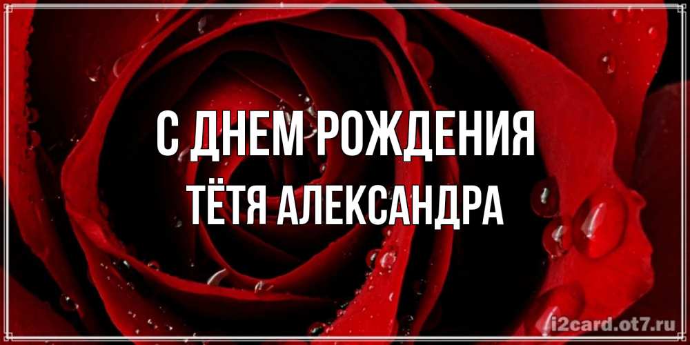 Открытка на каждый день с именем, Тётя-Александра С днем рождения крупная бордовая роза Прикольная открытка с пожеланием онлайн скачать бесплатно 