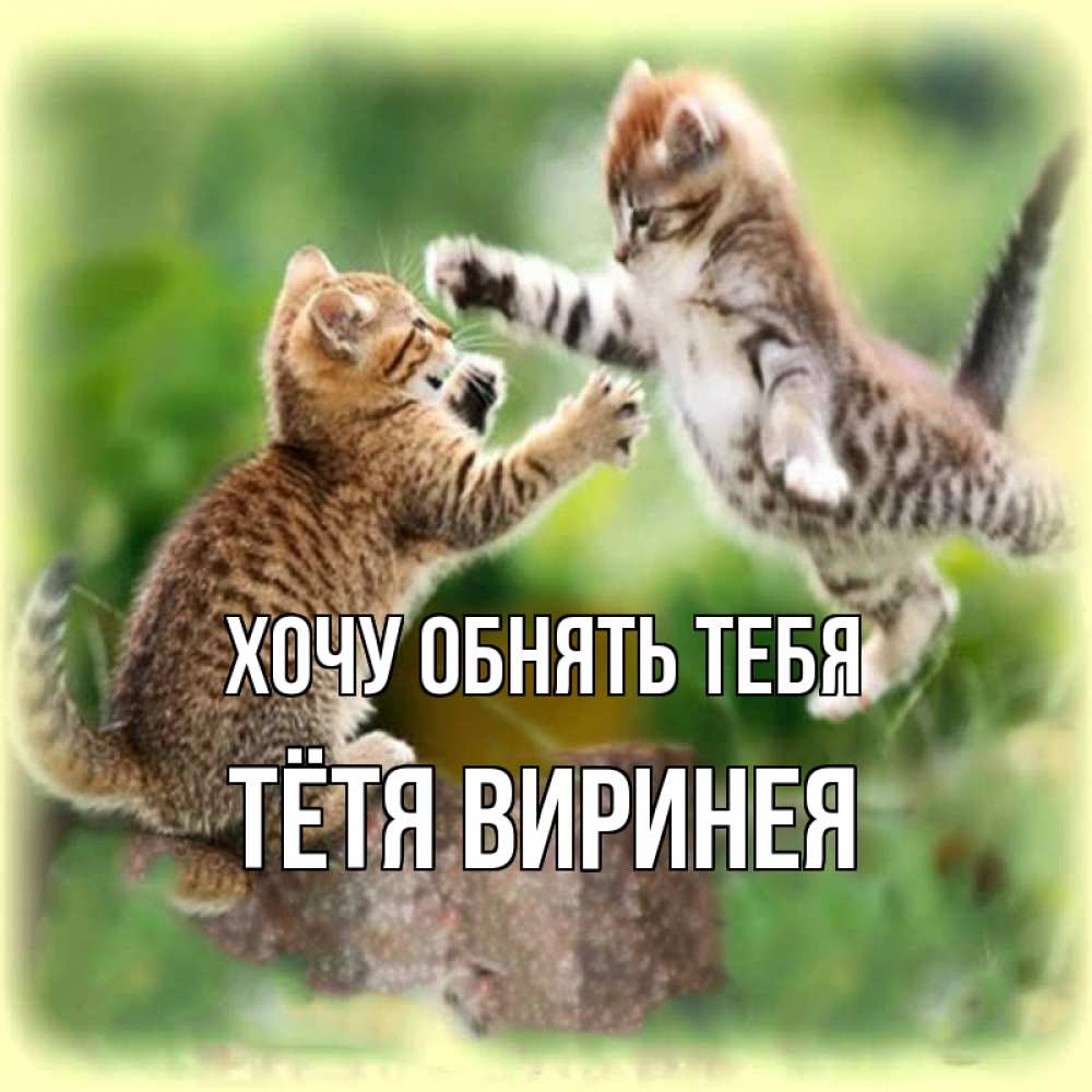 Открытка на каждый день с именем, Тётя-Виринея Хочу обнять тебя игры котят Прикольная открытка с пожеланием онлайн скачать бесплатно 