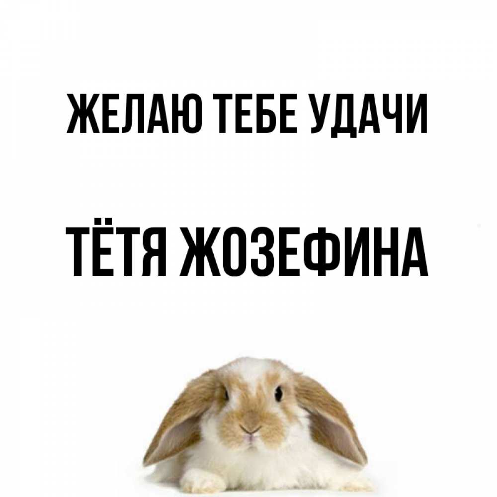 Открытка на каждый день с именем, Тётя-Жозефина Желаю тебе удачи открытки с произвольным текстом который можно вставить в открытку и создать ее самостоятельно бесплатно онлайн Прикольная открытка с пожеланием онлайн скачать бесплатно 